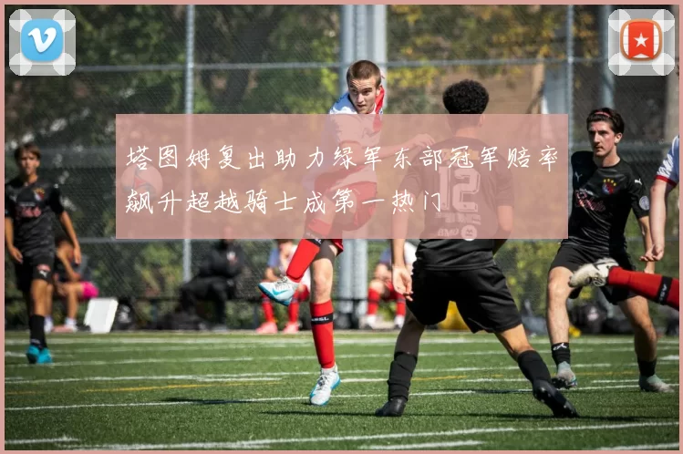 塔图姆复出助力绿军东部冠军赔率飙升超越骑士成第一热门